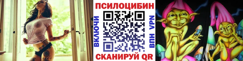 Псилоцибиновые грибы Psilocybine cubensis Новомосковск