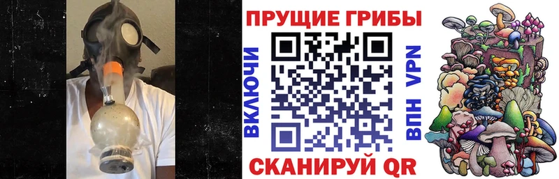 Галлюциногенные грибы MAGIC MUSHROOMS Новомосковск